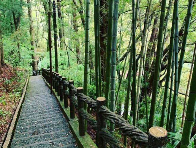 Iya Kankou Ryokan Miyoshi  Ngoại thất bức ảnh