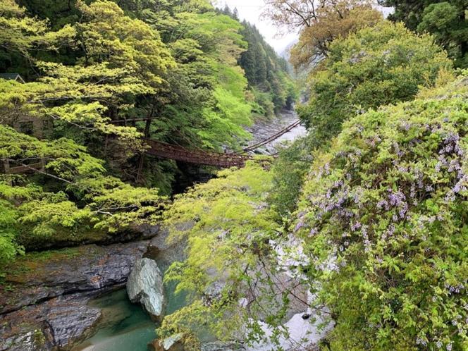 Iya Kankou Ryokan Miyoshi  Ngoại thất bức ảnh